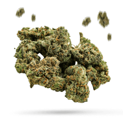 Caramel Kona Coffee Cookies - Cannabissorte