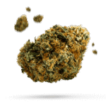 Caramella - Cannabissorte