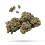 Carmel Cough - Cannabissorte