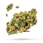 Cascade Grape - Cannabissorte