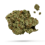 Castle - Cannabissorte