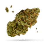 Cataract Kush - Cannabissorte
