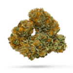 CBD God - Cannabissorte