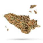 Central American - Cannabissorte