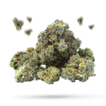 Chardonnay - Cannabissorte