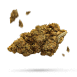 Charge 508 - Cannabissorte
