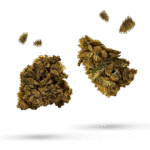 Charity OG - Cannabissorte
