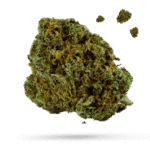 Chasca - Cannabissorte