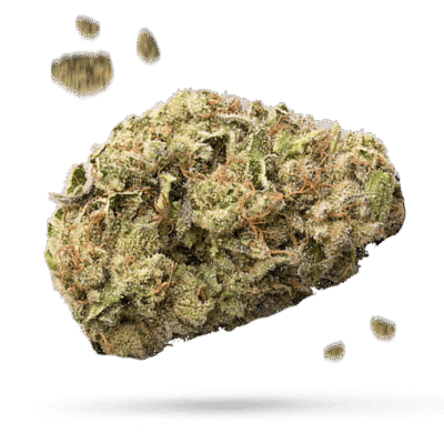 Chem 91 - Cannabissorte