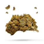 Chem Kesey - Cannabissorte
