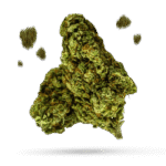 Cherry Fritter - Cannabissorte