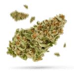 Cherry On Top - Cannabissorte