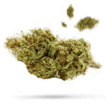 Larry OG - Cannabissorte
