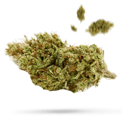 Larry OG - Cannabissorte