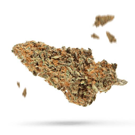 ﻿Cactus Jack - Cannabissorte
