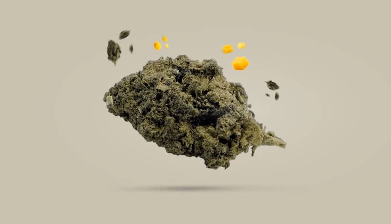 10-OH-HHC Blüten - Produktkategorie