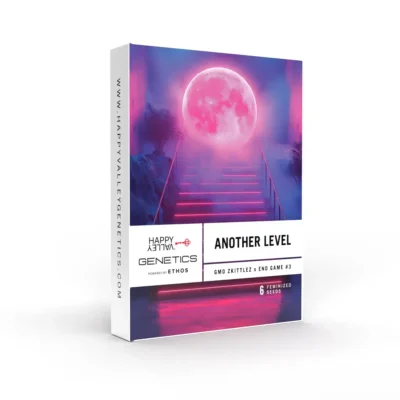 Another Level - Alchimia