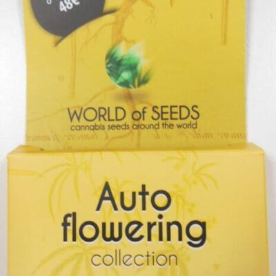 Autoflowering Collection 8 Samen - Alchimia