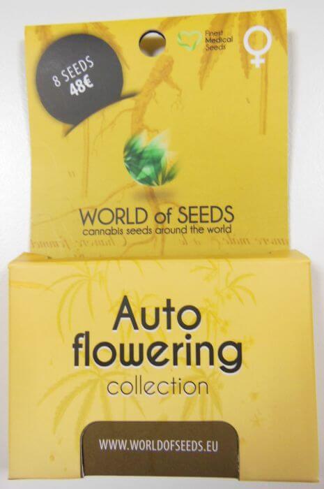 Autoflowering Collection 8 Samen - Alchimia