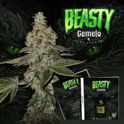 Beasty - Alchimia