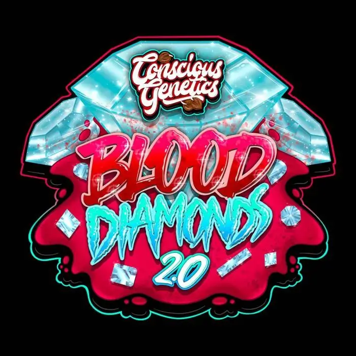 Blood Diamonds 2.0 - Alchimia