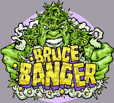 Bruce Banger - Alchimia