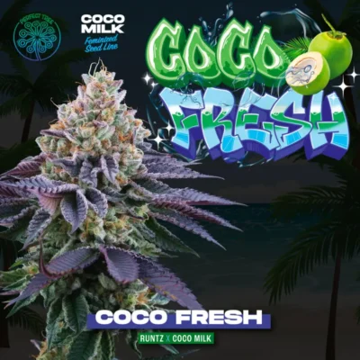Coco Fresh  3 Free Fem - Alchimia