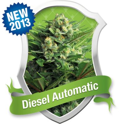 Diesel Automatic - Alchimia