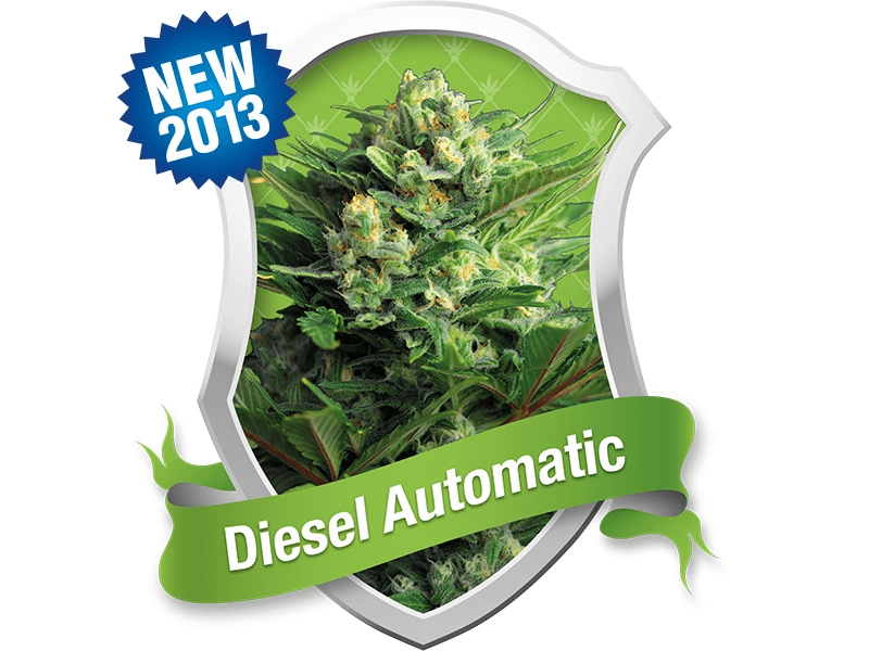 Diesel Automatic - Alchimia