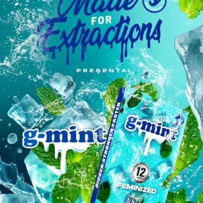 G-Mint - Alchimia