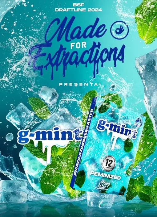 G-Mint - Alchimia