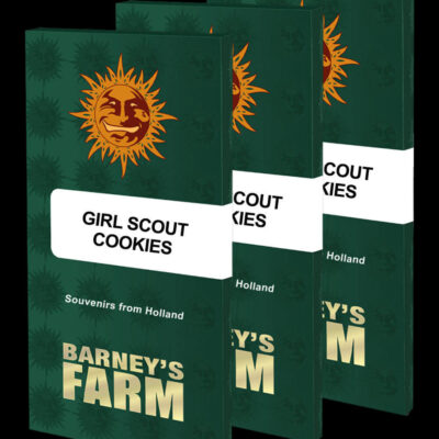 Girl Scout Cookies - Barney's Farm - Alchimia