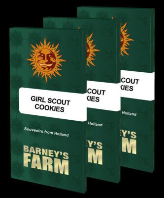 Girl Scout Cookies - Barney's Farm - Alchimia