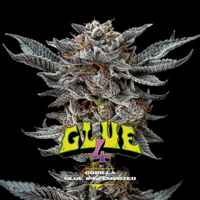 Gorilla Kingdom Glue 4 - Alchimia