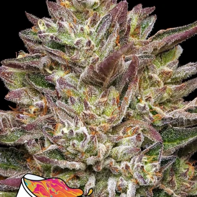Guzzlerz - Alchimia