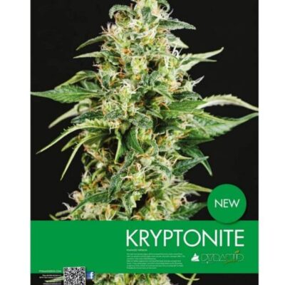 Kryptonite - Alchimia