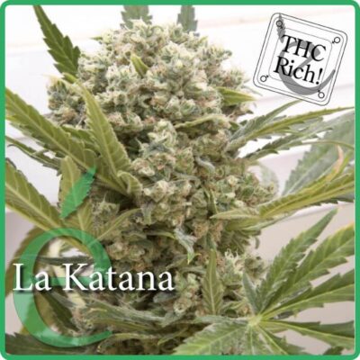 La Katana - Alchimia