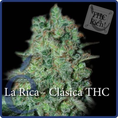 La Rica - Alchimia
