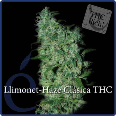 Llimonet Haze - Alchimia
