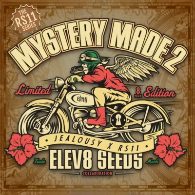 Mystery Made 2 - Alchimia