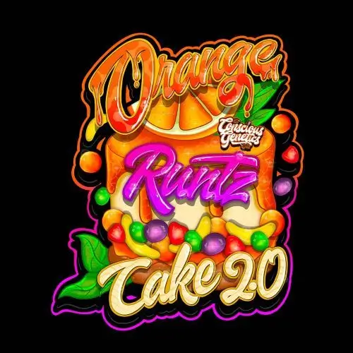 Orange Runtz Cake 2.0 - Alchimia