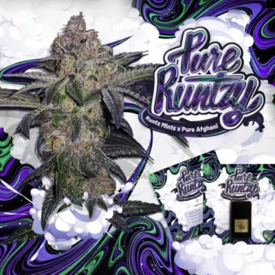 Pure Runtzy - Alchimia