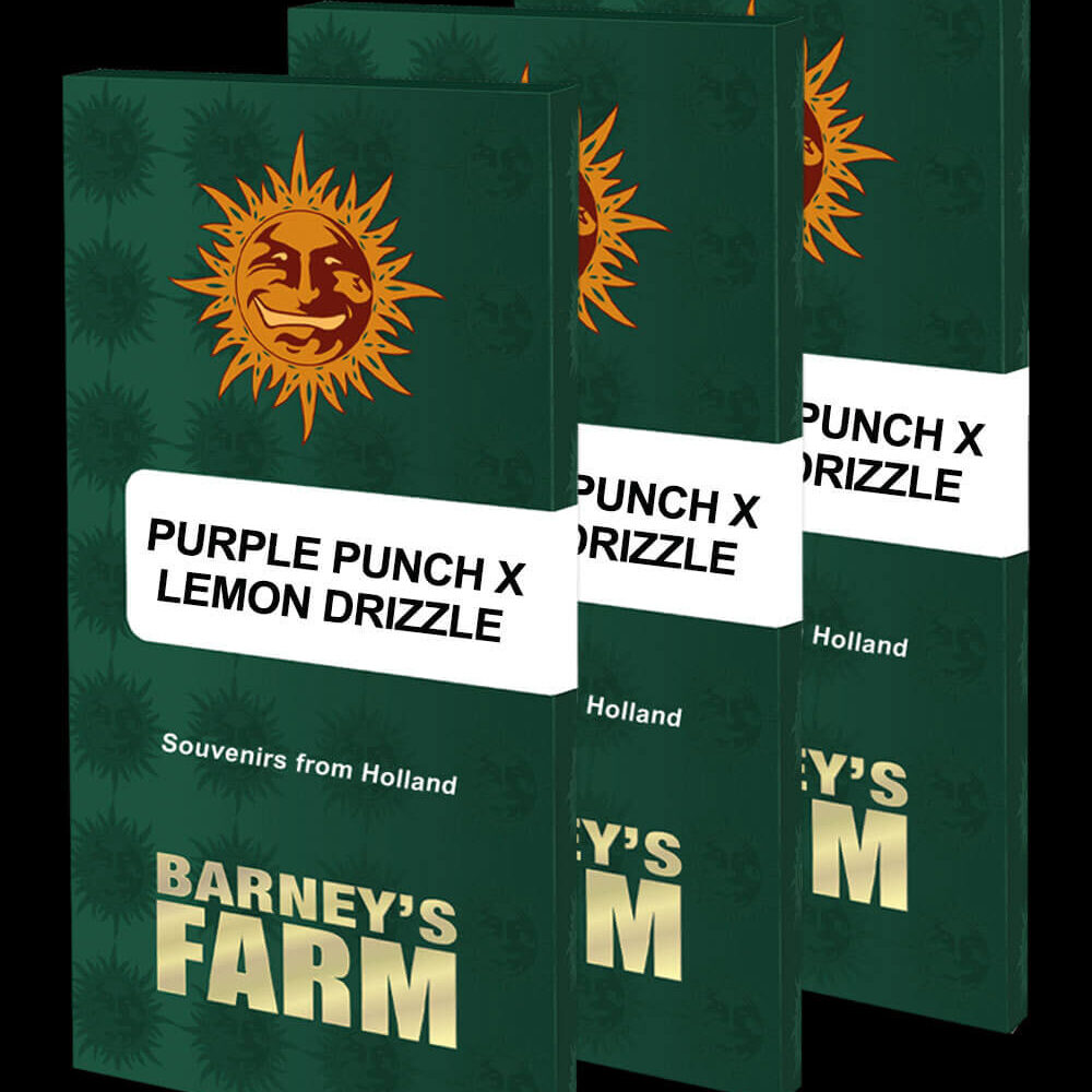 Purple Punch x Lemon Drizzle - Alchimia