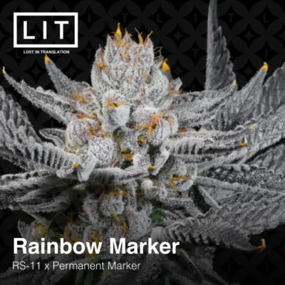 Rainbow Marker - Alchimia