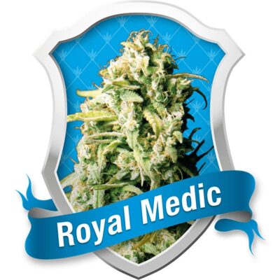 Royal Medic - Alchimia