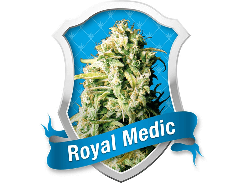 Royal Medic - Alchimia