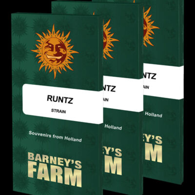 Runtz - Barney's Farm - Alchimia