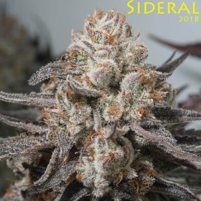 Sideral - Alchimia