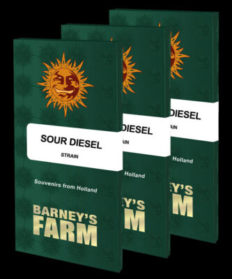 Sour Diesel - Barney's Farm - Alchimia