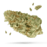 White Widow Samen - Autoflower